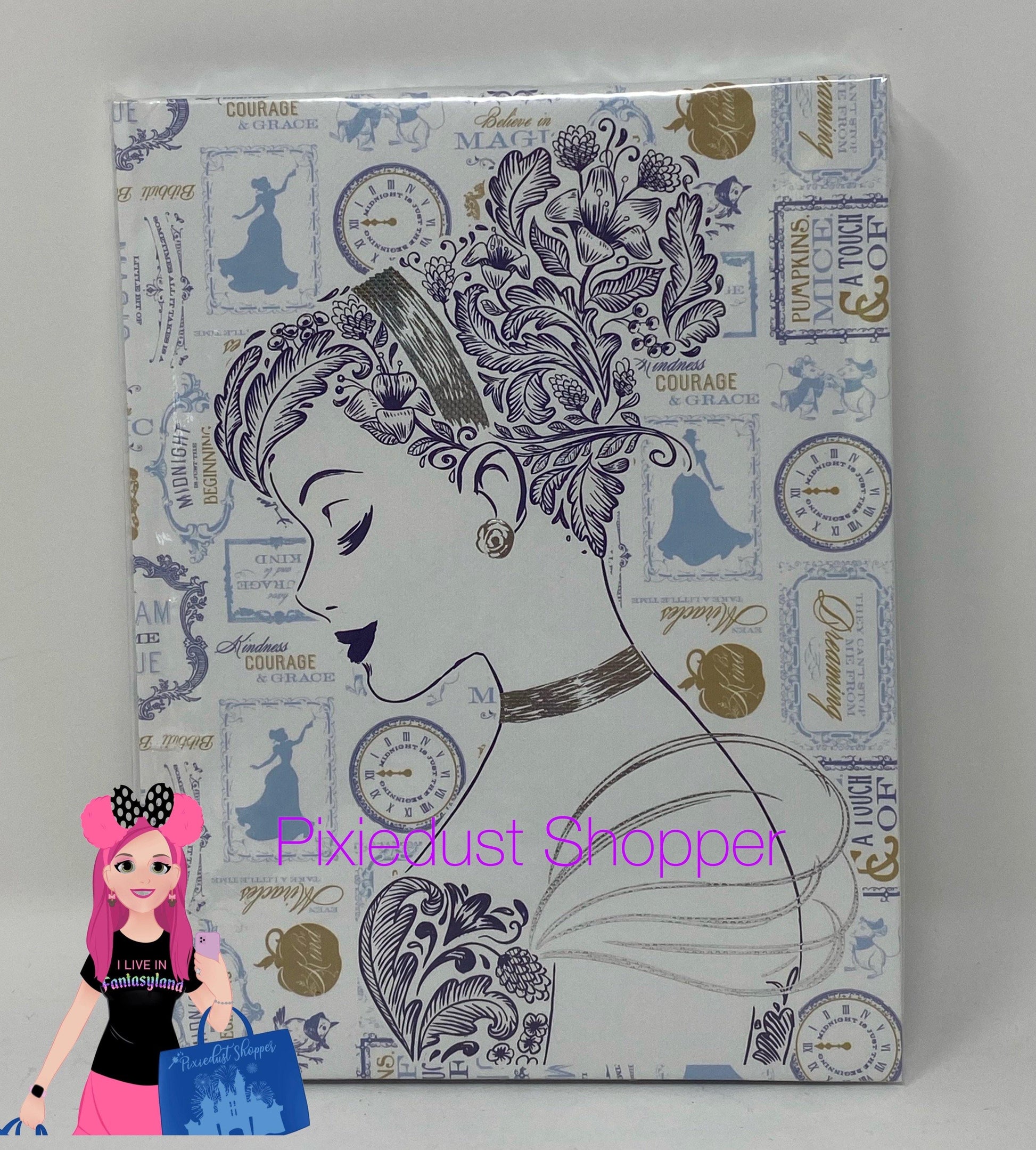 Cinderella Journal - World of Treasures