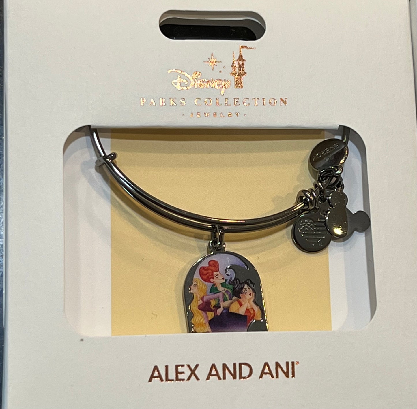 Disney Hocus Pocus Alex & Ani Bangle Bracelet