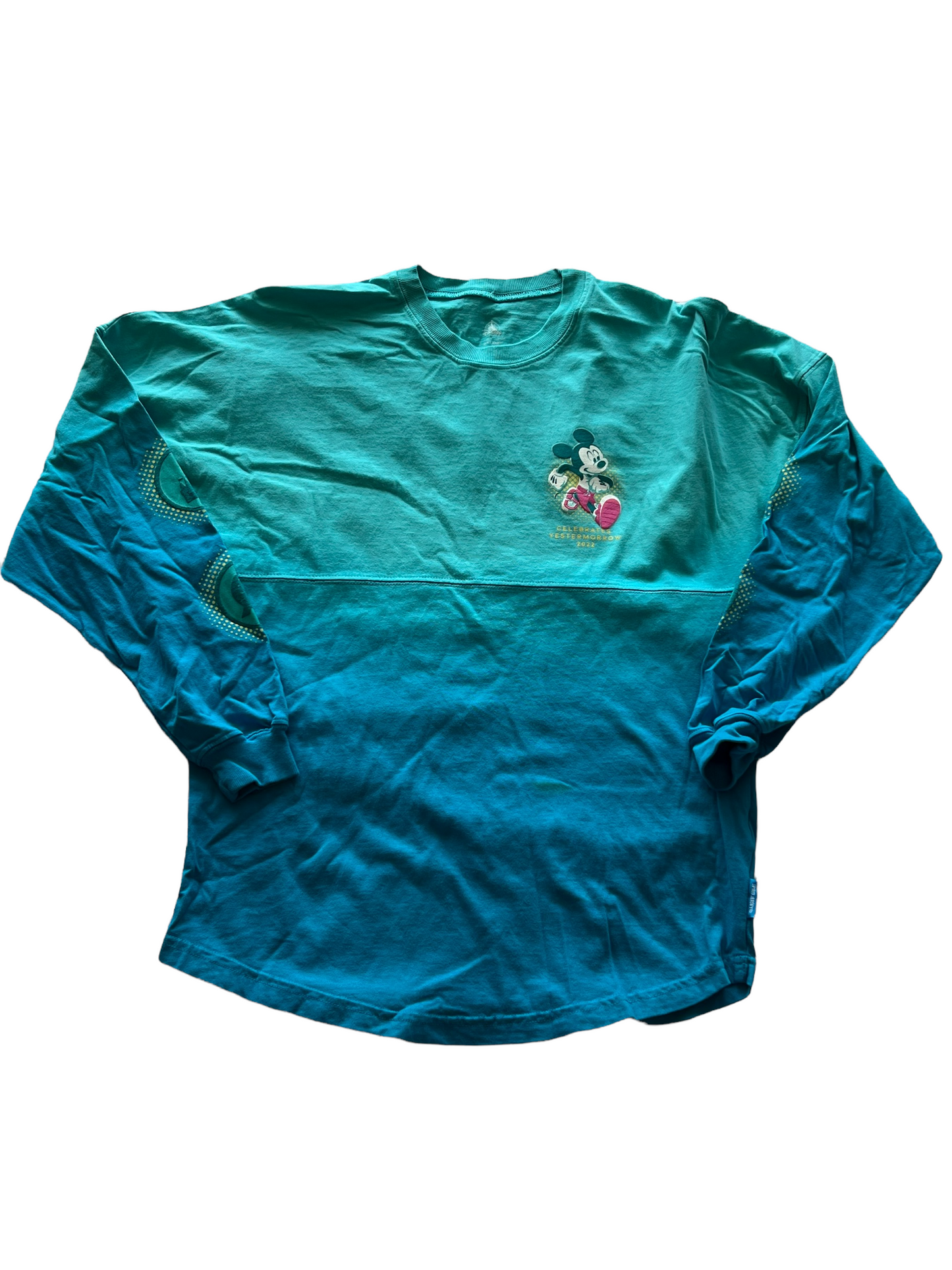 RunDisney Springtime Surprise Spirit Jersey