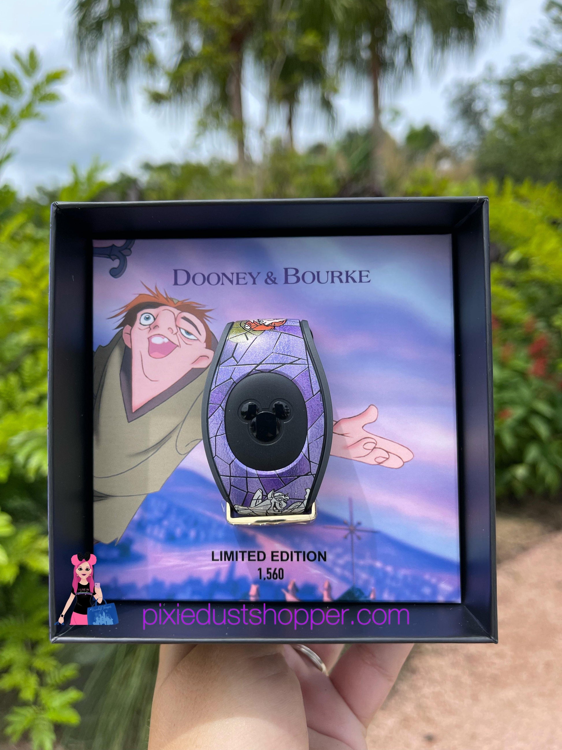 Disney The Hunchback of Notre Dame MagicBand 2 by Dooney & Bourke – LE 1500 - World of Treasures