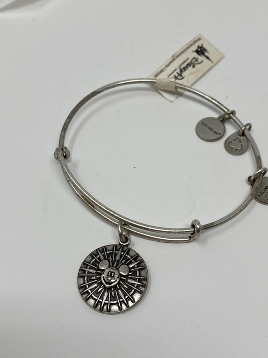 Disneyland California Adventure Silver Alex and Ani Bracelet - World of Treasures