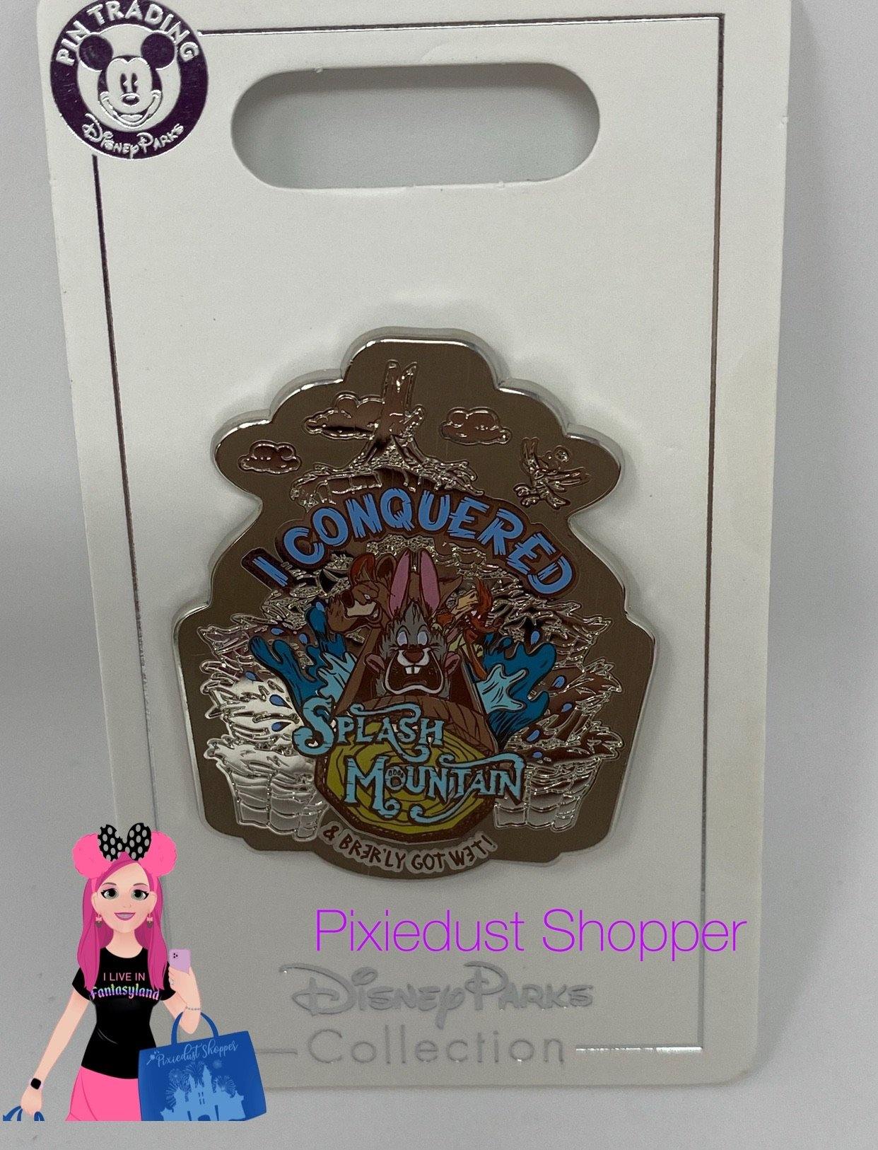 Disney Splash Mountain Brer Rabbit I Conquered Splash Mountain Pin-New - World of Treasures