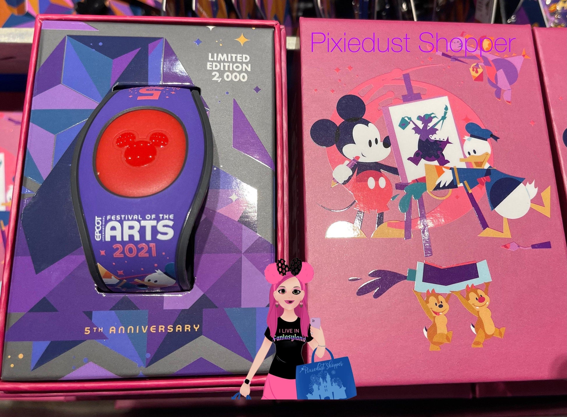 Disney Festival of Arts 2021 5th Anniversary Magicband Mickey and Friends-LE 2000 - World of Treasures