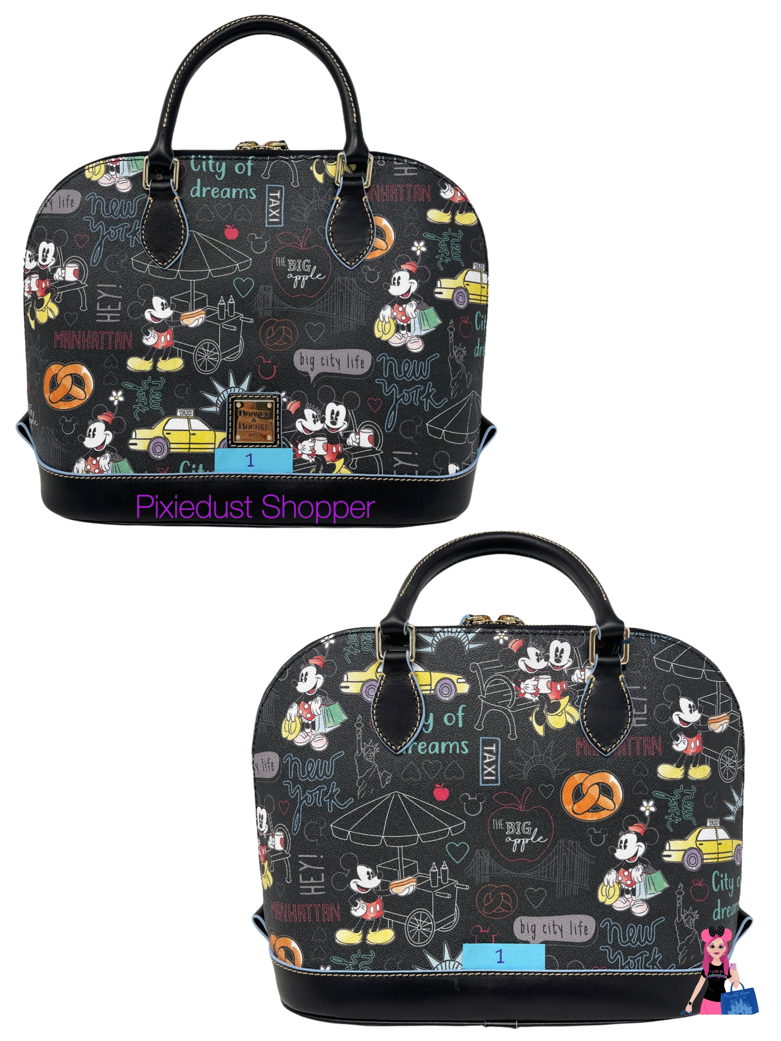 Disney New online York Dooney and Bourke Satchel