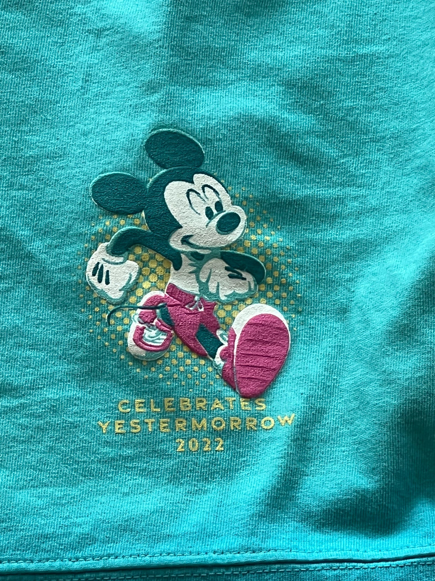 RunDisney Springtime Surprise Spirit Jersey