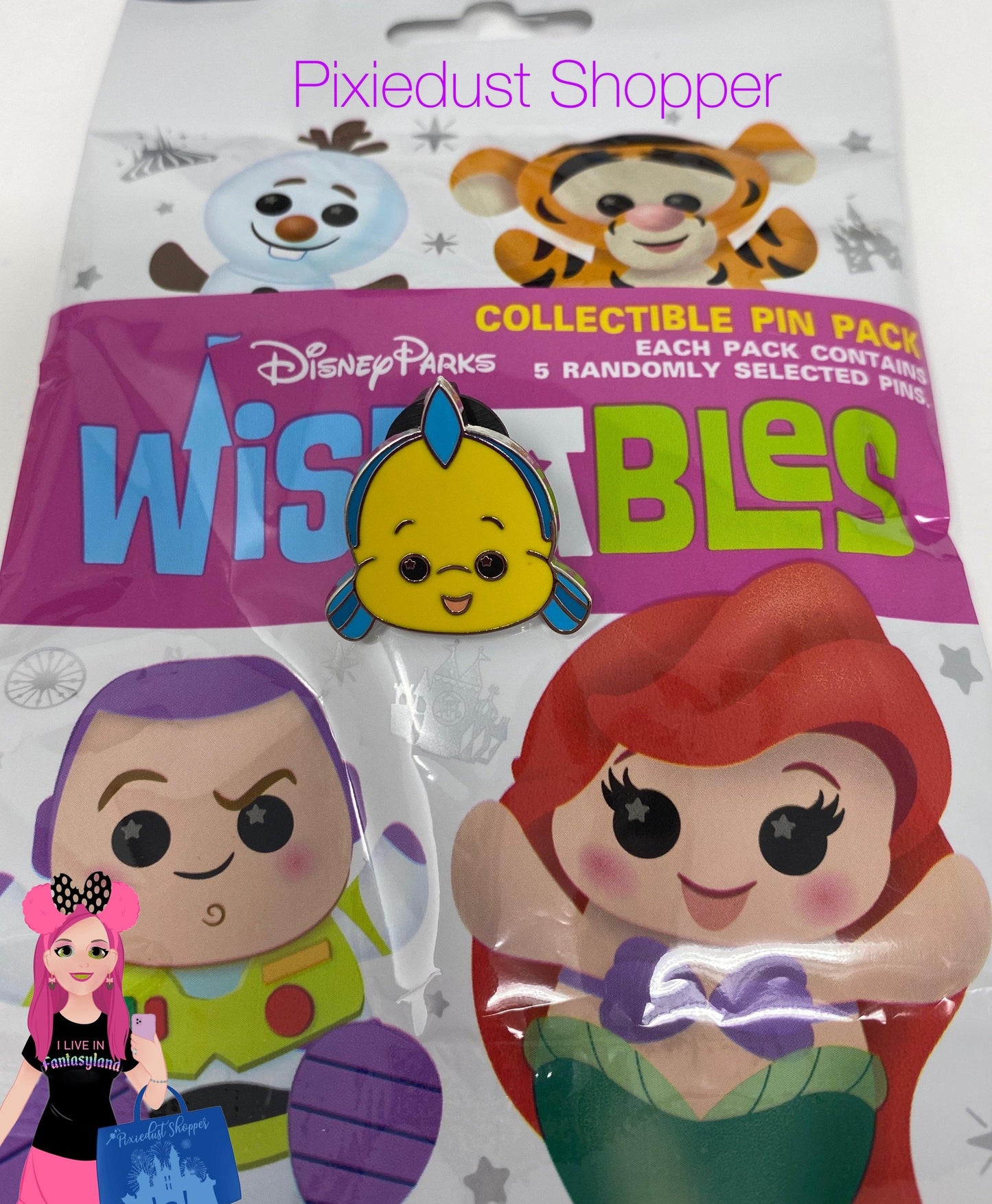 Disney Parks Wishables Pins - World of Treasures