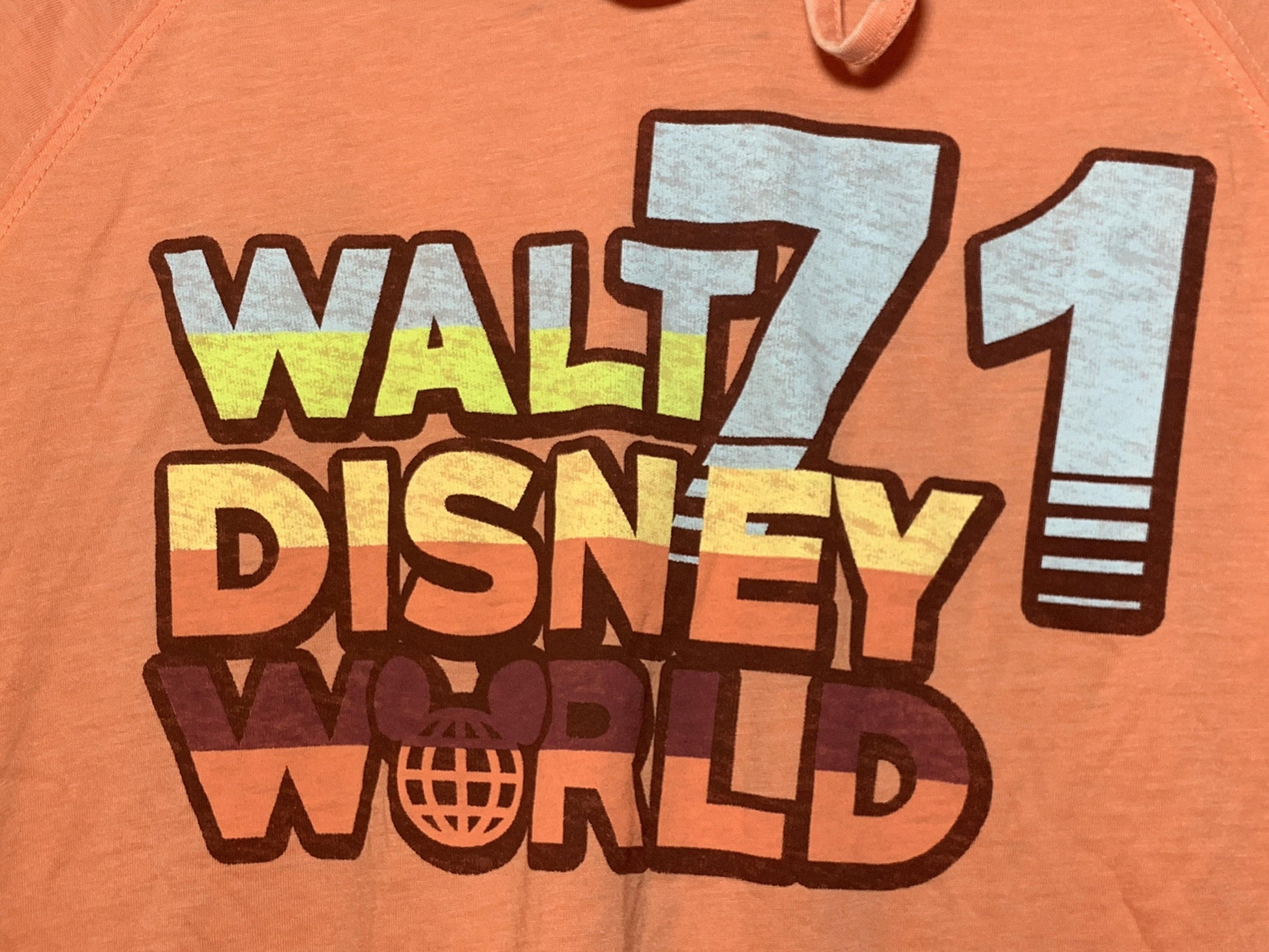 Disney World 71 - Retro Long Sleeve Hoodie - World of Treasures