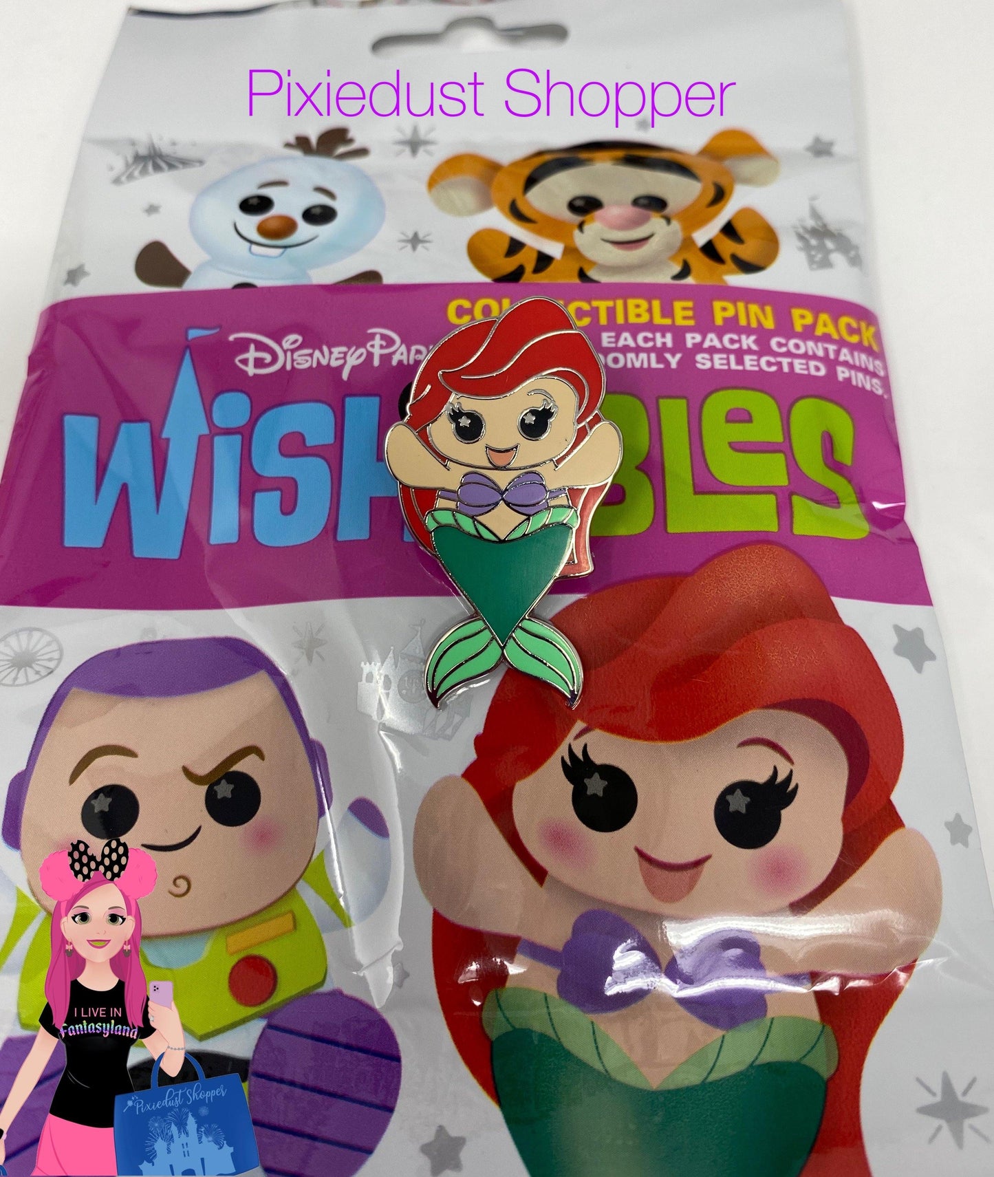 Disney Parks Wishables Pins - World of Treasures