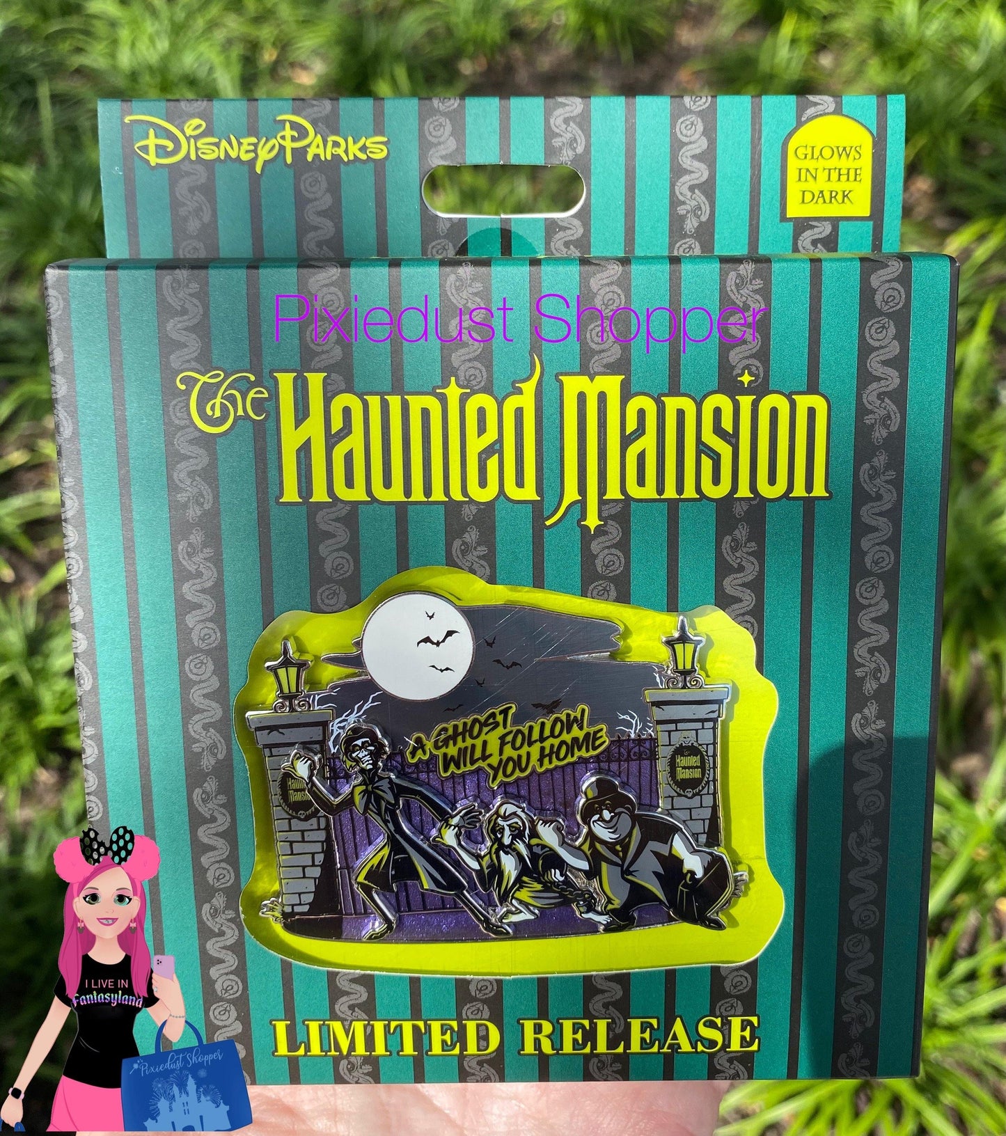 Disney Haunted Mansion A Ghost will Follow You Home Glow in the Dark Jumbo Pin-Limited Release - World of Treasures