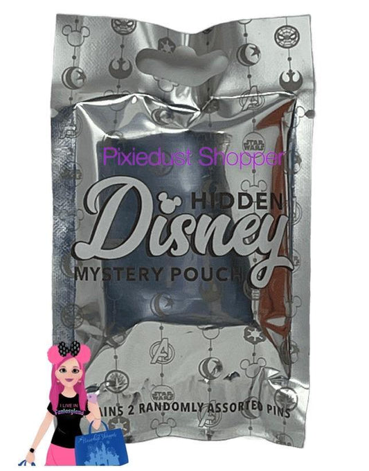 Disney Hidden Mystery Pouch-Contains 2 Randomly Selected Pins - World of Treasures