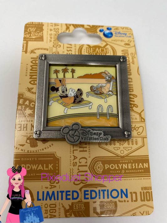 Disney Vacation Club Minnie and Daisy Limited Edition Pin - World of Treasures