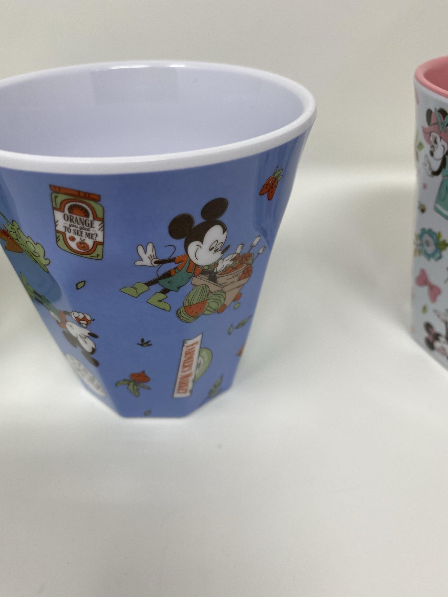 Disney Epcot 2020 Flower and Garden Festival Spike’s Exploration Flower Pot/Cups - World of Treasures